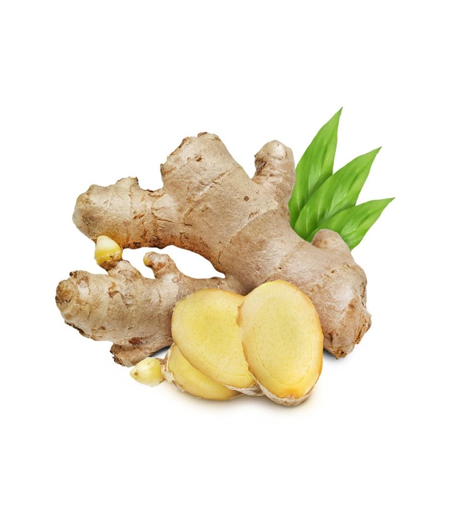 Luscioux Caffitaly®* Comp. Cappellini. GINGER HERBAL TEA