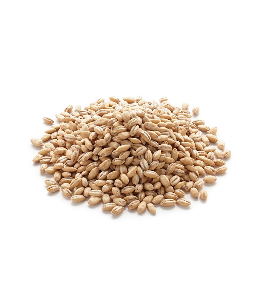 Luscioux Caffitaly®* Comp. Cappellini. GERST