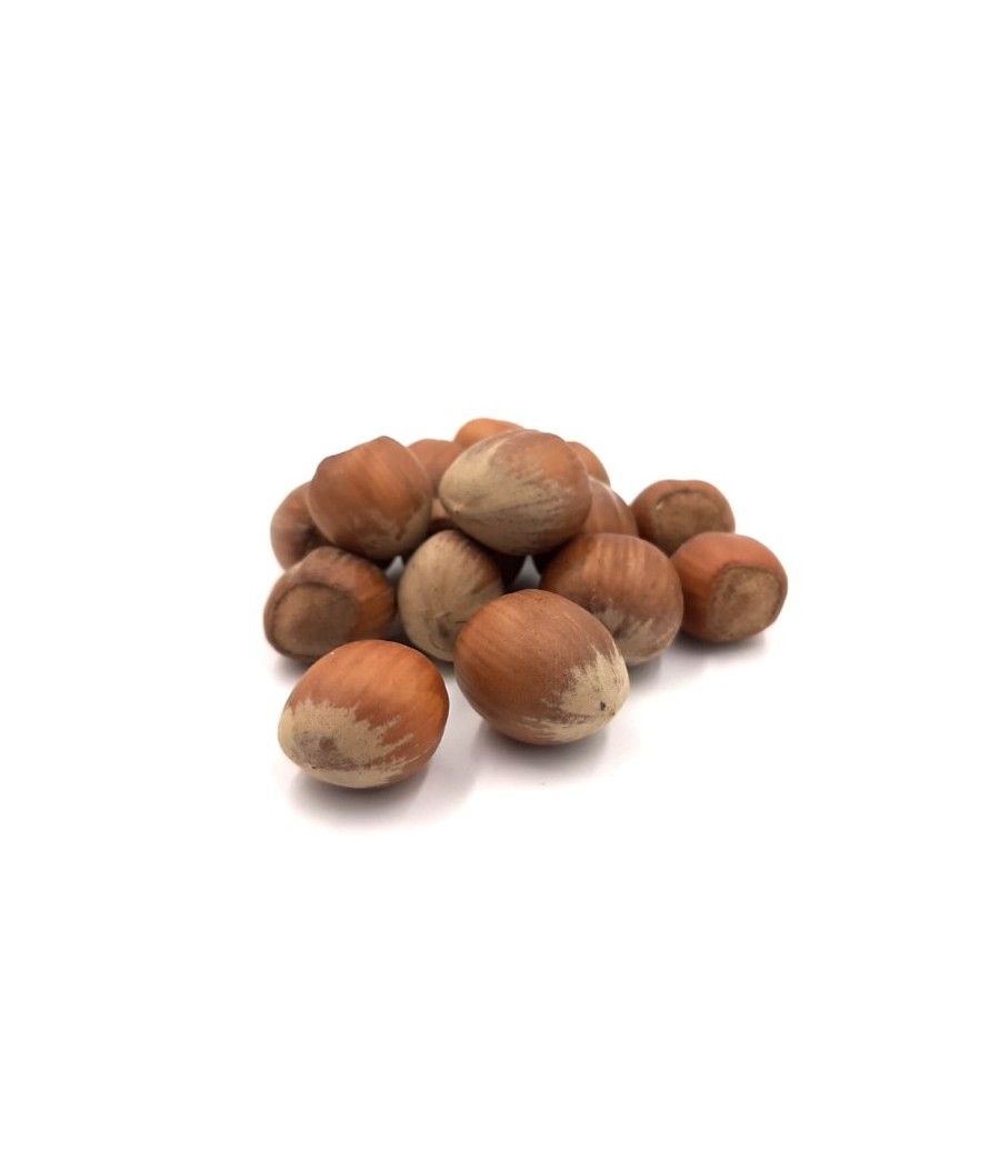 Hazelnuts in Shell Nebrodi (Sicily) Raw Caliber 18+