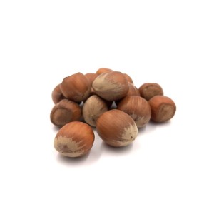 Hazelnuts in Shell Nebrodi (Sicily) Raw Caliber 18+