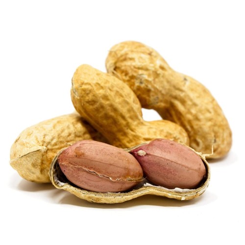 Roasted peanuts in open shell