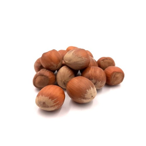 Hasselnötter i Nebrodi Shell (Sicilien) Rå storlek 19+